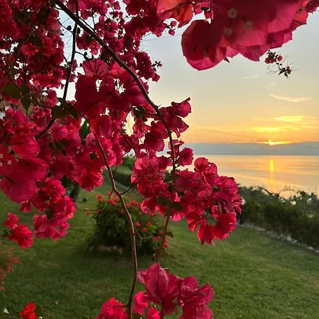 Daire Ionian Sea View By Hotelius Episkopiana (Corfu)